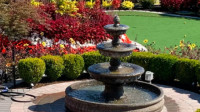 Vip Green Maintenance LLC