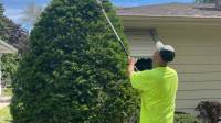 Shrub Trimming