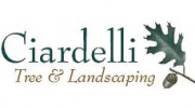 Ciardelli Tree & Landscaping