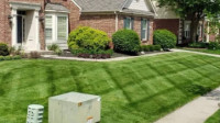 Lawn Mowing & Maintenance