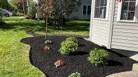 Landscape Lighting