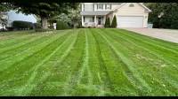 New Lawn Installation