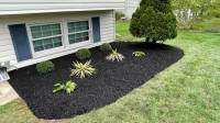 Landscape Design & Renovation