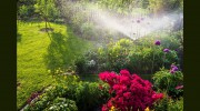 RANESCAPE Lawn & Landscape Solutions