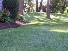 Beautiful Yards