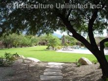 Residential Landscape Design & Maintenance