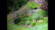 Charlottesville Landscape Design