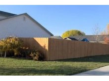 Cedar Fencing