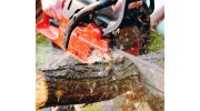 Stump Removal