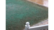 Hydroseeding
