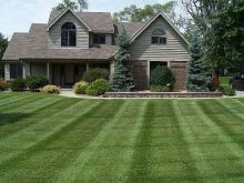 Lawn Maintenance
