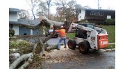 Tree Removal Seguin