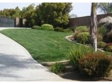 Full service lawn care