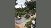 Campbell & Ferrara Nurseries