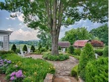 Tree Landscaping, Patio Landscaping