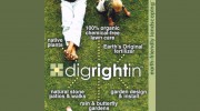 Dig Right In Landscaping