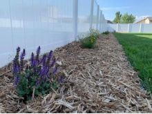 backyard landscaping in Rogers, MN