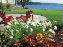 Patios and specialty gardens where you can relax and enjoy the beauty