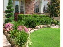 Lawn Maintenance