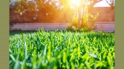 Florida Commercial Care