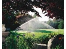 An Automatic Irrigation System Will Help Retain The Value Of Your Landscape Investment.
