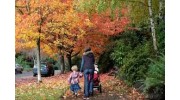 Landscaping in Bothell Wa