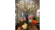 Florals & Events