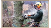 Turnbull Tree Service