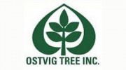 Ostvig Tree
