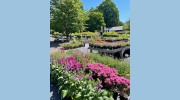 County Line Landscape Nursery
