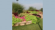 Designer Landscape