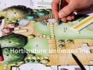 Design & Planning