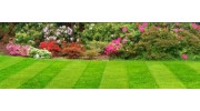 AAA All Star Lawn Care