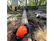 Removing a large tree in Marietta
