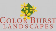 Color Burst Landscapes