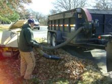 Leaf Removal