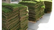 Sod Installation