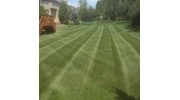 Lawn Care