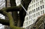 Cabling And Bracing