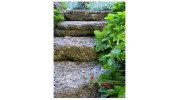 Gardening and Planting Advice