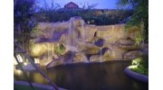 Landscape Lighting