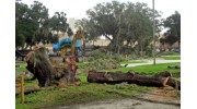 Stump Removal