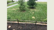 Pro-Grass