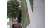 Lawn Service