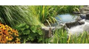 Water Management