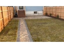 patio &amp; fence