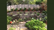Rovettis Landscape And Maintenance