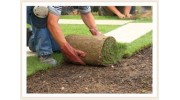 Lawn Care Services