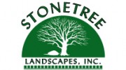 Stone Tree Landscape