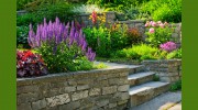 M N Landscaping
